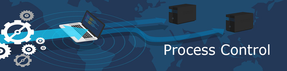 process banner